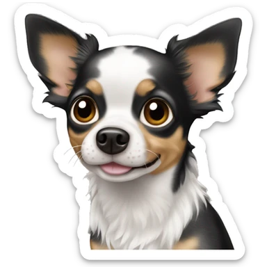 Black merle Chihuahua  sticker