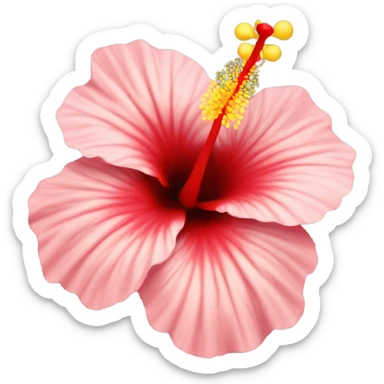 Cute hibiscus sticker