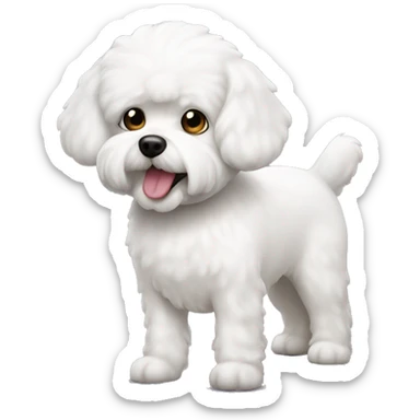 white dog bichon maltés  sticker
