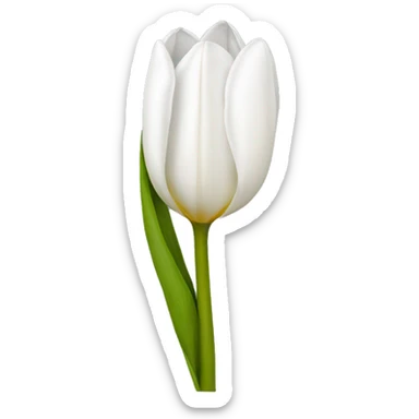 White tulip sticker
