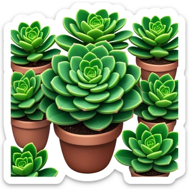 Cinematic Realistic Crassula Emoji, Compact and vibrant, with small, fleshy leaves arranged in thick, rounded clusters. The deep green hue of the leaves radiates calm, while their structured growth speaks of endurance. Soft glowing outline, capturing the essence of perseverance and tranquility in a crassula plant! sticker