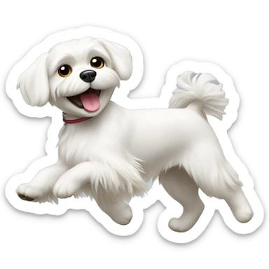 White Maltese dog dancing  sticker