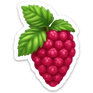 raspberry  sticker