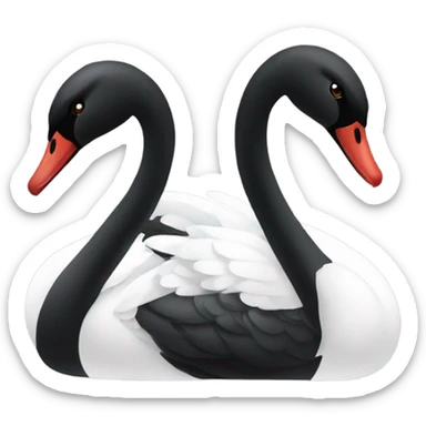 Black and while swans sticker