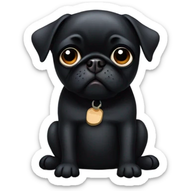 Black pug  and the words  “I’m sorry” sticker