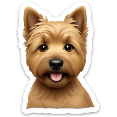 Close format on puppy of Norwich terrier is grizzly colour  sticker