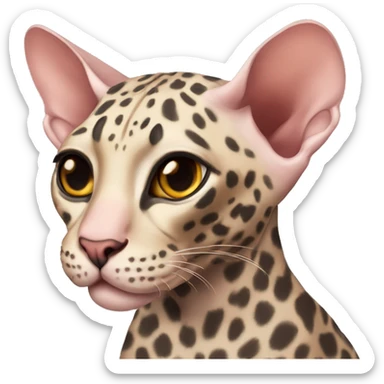 leopard sphynx sticker