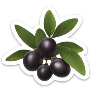 black olive sticker
