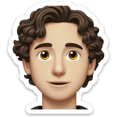 Timothée Chalamet sticker