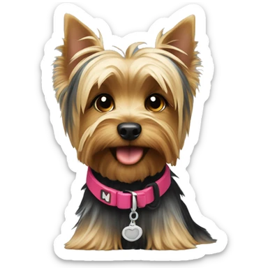 Yorkshire terrier with a collar that says NM sticker