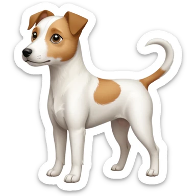 a full body slightly chubby white parson russell terrier looking dog the size of a kelpie with light brown long ears and a light brown patch on one eye and a large snout. the rest of the dog is completely white sticker