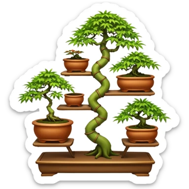 Twisted bamboo floor shelf unit stand displaying hair leaf maples and bonsai plants(in shallow bonsai pots) cluttered because they have too many  sticker