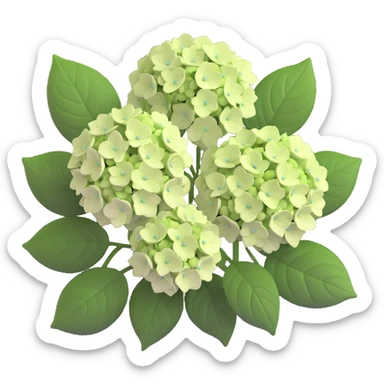 Charming hydrangea flower with kawaii style, soft rounded flower clusters in pretty pastel colors, and cute green leaves sticker