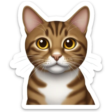 Brown tabby cat with white arm sticker