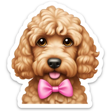 Apricot coloured cockapoo with a pink bow sticker