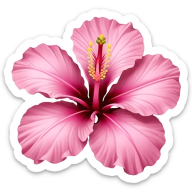 ￼Baby pink Hibiscus flower  sticker