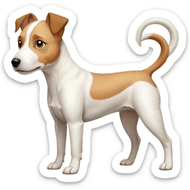a full body facing front on of a buff white parson russell terrier looking dog the size of a kelpie with light brown long ears resting on its face and a light brown patch above one eye and a large snout. the rest of the dog is completely white.  sticker