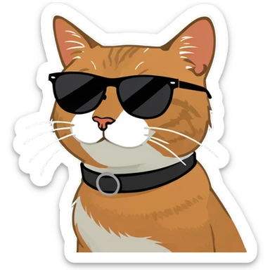 Cat with sunglasses sticker