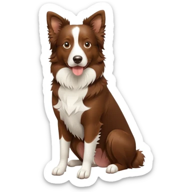 Brown Border Collie sitting sticker