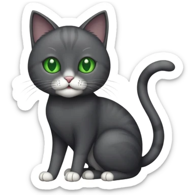 full body gorgeous solid dark grey cat with green eyes, white paws and white whiskers playing sticker