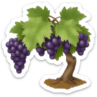 grape harvest sticker