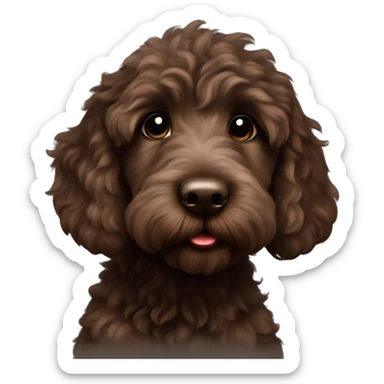 Dark brown Australian labradoodle puppy sticker