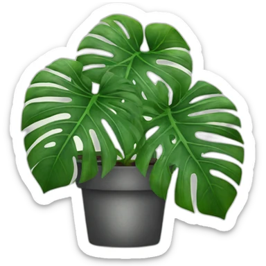 variegated Monstera sticker