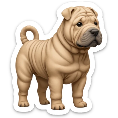 Grey shar pei standing sticker