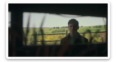 A portrait of a person in the foreground, blurred plants in the foreground (frame within a frame), a wooden fence and colorfull flowers in the midground, Poland, rolling hills in the background, cinematic depth of field, layered composition, natural lighting sticker