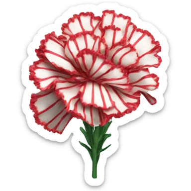 Striped carnations sticker