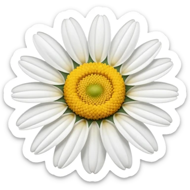 White daisy sticker
