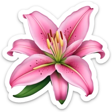 pink lily flower sticker