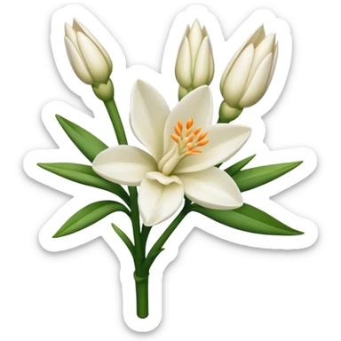 Tuberose sticker