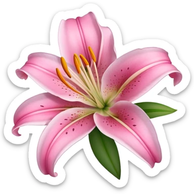 pink lily sticker