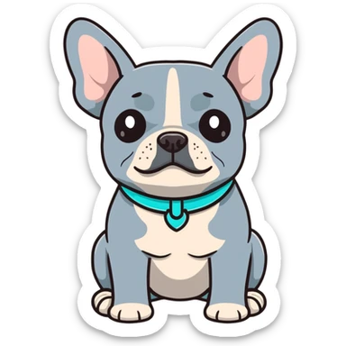 Grey French bulldog with turquoise collar sitting facing forward sticker