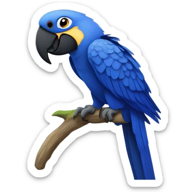 Hyacinth macaw sticker