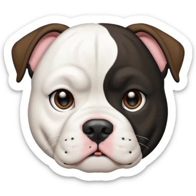 Black and white American bulldog black body white head black around one ear and I sticker