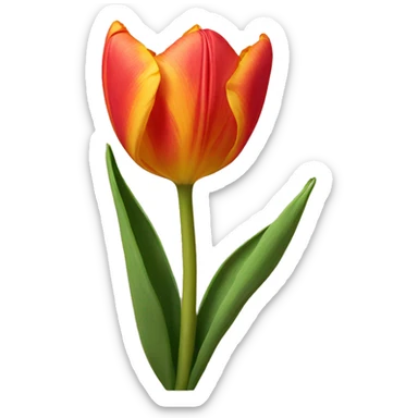 Sunset tulip sticker