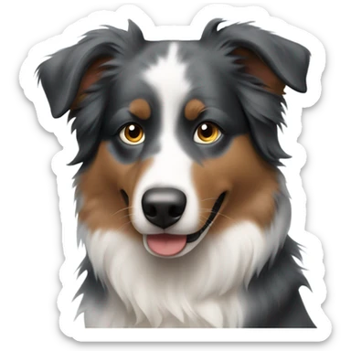 Australian shepherd with blue e sticker