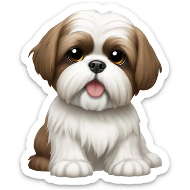 Brown and white shih tzu sticker