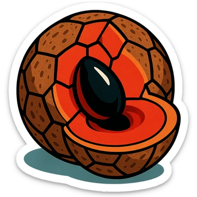 mamey fruit shaped like a soccer ball, rough brown shell, intense red flesh, black seed, clear illustrative style sticker