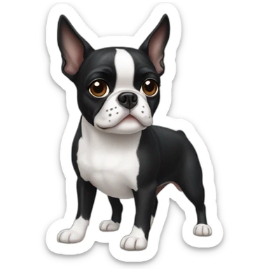 Boston terrier sticker