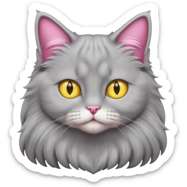 grey fluffy british long hair cat with yellow eyes straight fluffy hair rosa ears and grey rosa nose sticker