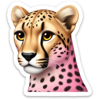 Cheetah but pink sticker