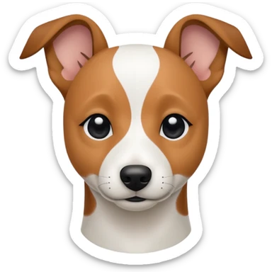 a fully white jack russell the size of a kelpie with a half white face sticker