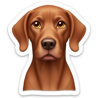 Viszla dog sticker