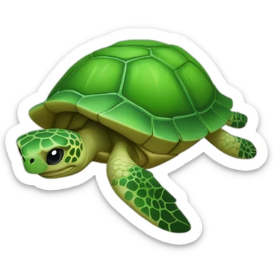 Une. L’autre, sur une Tortue 🐢💚 sticker