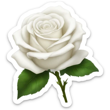 white rose sticker