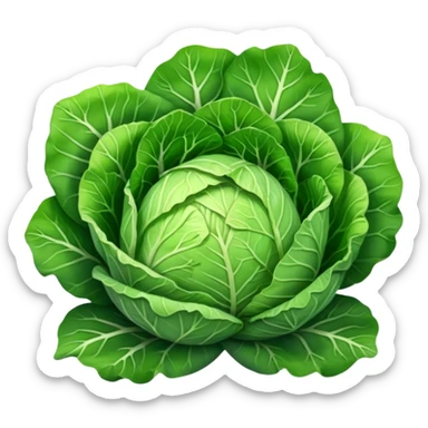  Shredded cabbage    sticker