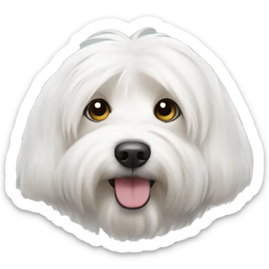 coton de tulear sticker